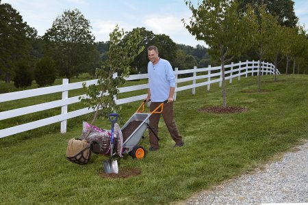 Садовая тележка WORX WG050 Aerocart