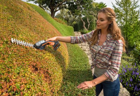 Ножницы для стрижки травы и кустарников в комплекте с тяпкой WG801E.5, c АКБ 1*2Ач и ЗУ, 1 аккумулятор 2 Ач + зарядное устройство